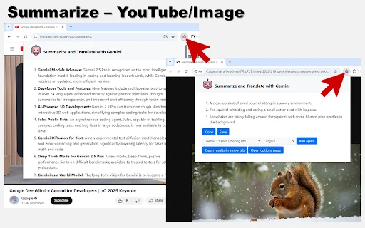 Summarize and Translate with Gemini – Ringkasan AI Cepat - Screenshot 2